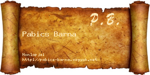 Pabics Barna névjegykártya